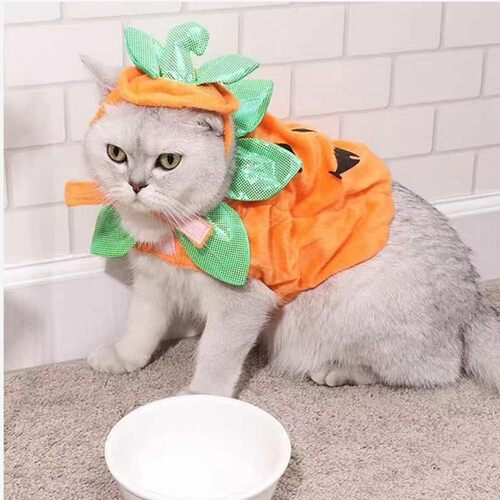 ANIAC Pet Pumpkin Costume Cat Halloween
