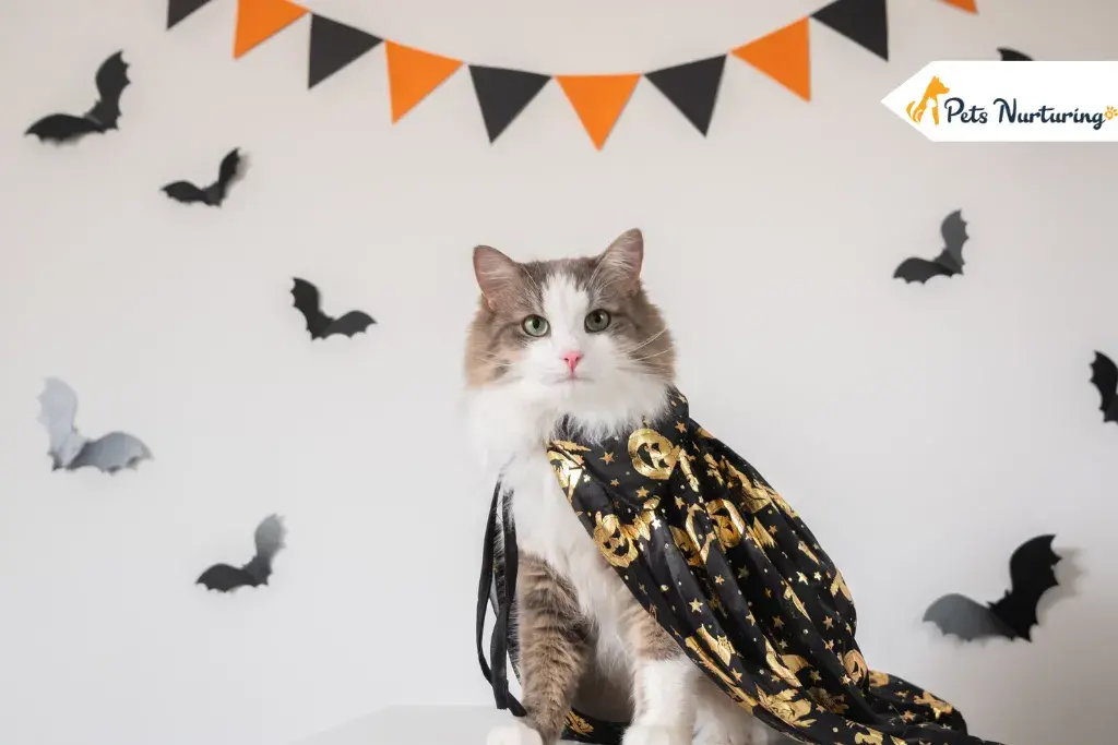 Cat Halloween costume