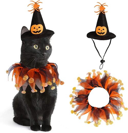 Cat Witch Halloween Costume Suit
