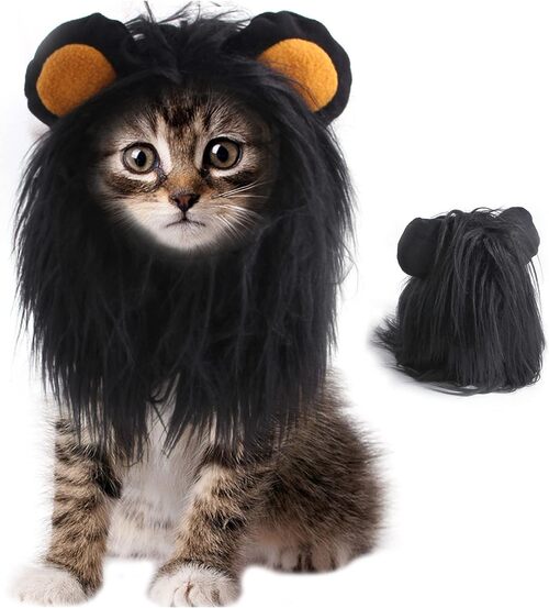 ITESSY Cat Halloween Costume - Black Lion Mane Wig