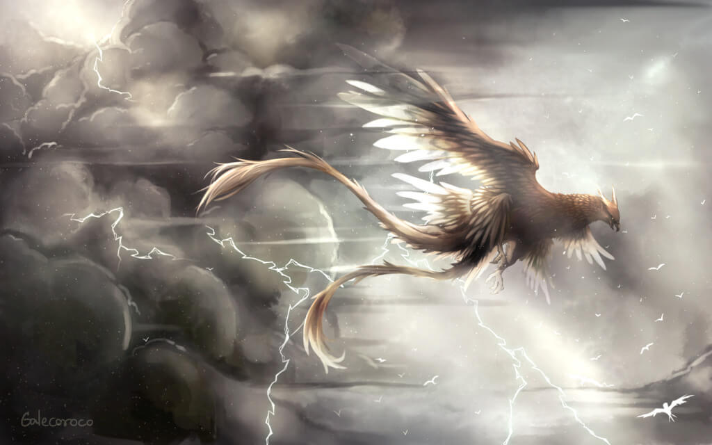 Real Phoenix Bird A Mysterious And Mythological Bird Pets Nurturing Real Phoenix Bird 03