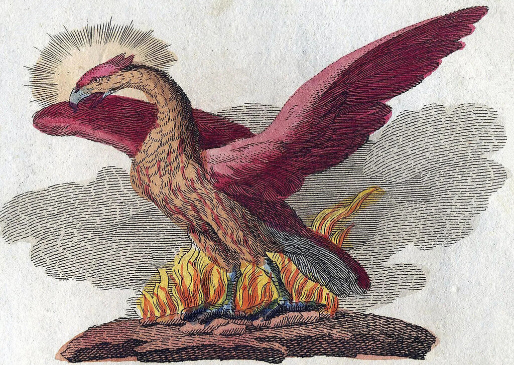 Phoenix in Jewish Mythology – Milcham: