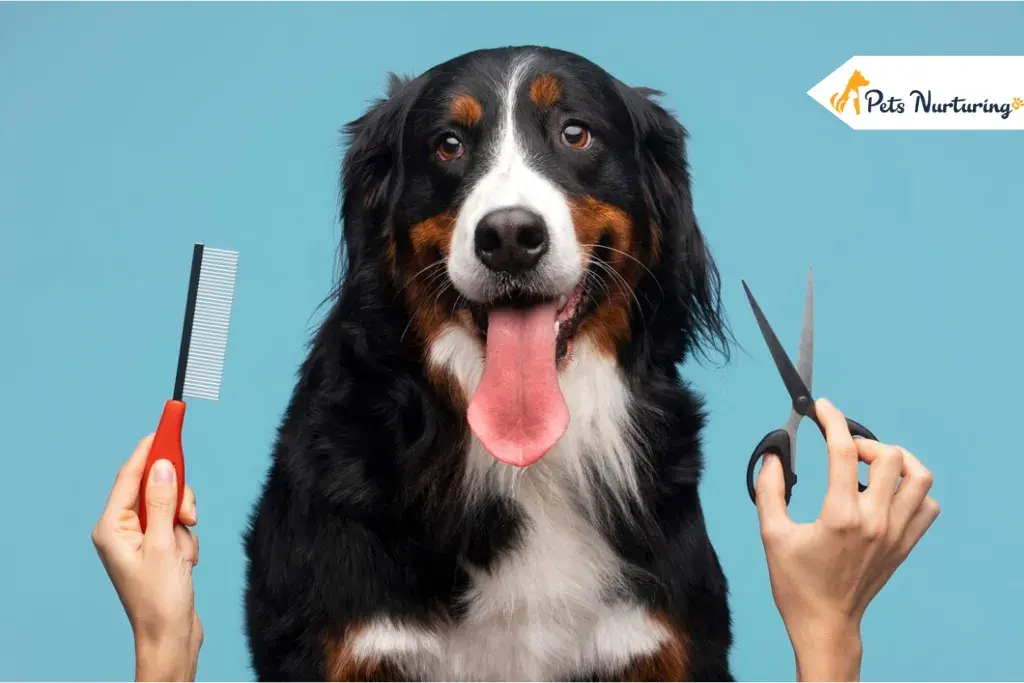Grooming Your Dog At Home