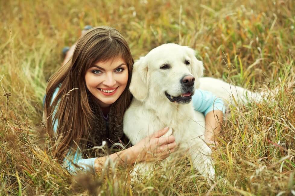 Labrador Retriever: Most Loyal Dog Breeds