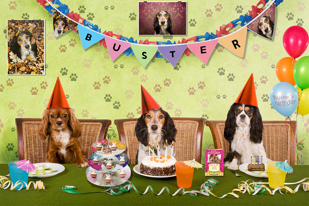 Dog Birthday Celebration