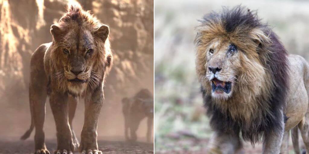 Animals in Lion King