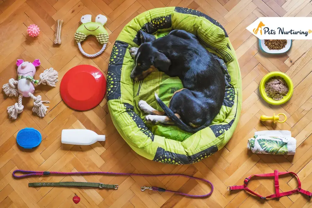 Essentials For Dog Trainings