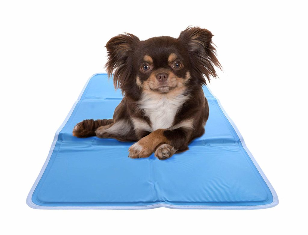 Get Pet Cooling Mat for Your Dog