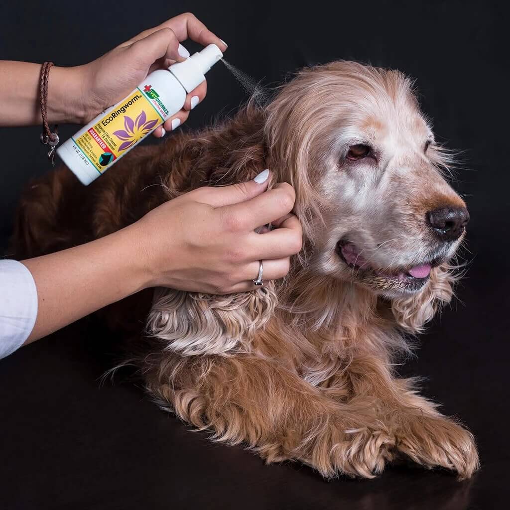 Ringworm Treatment in Dogs is Usually Done in Three Steps