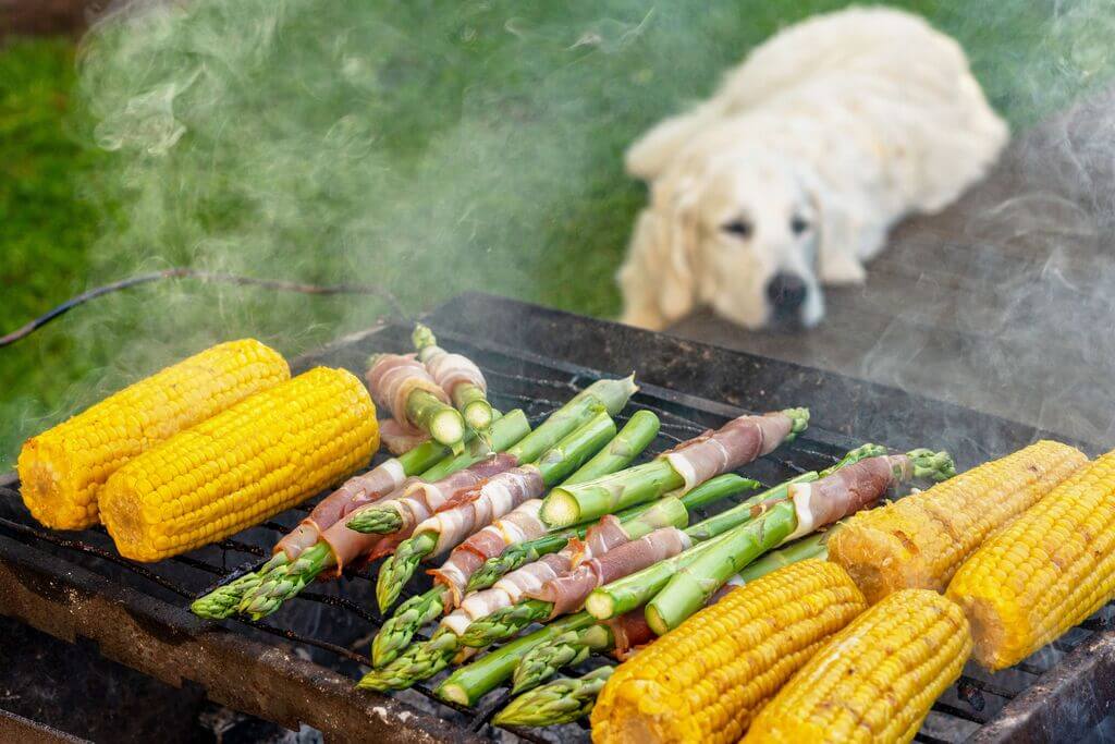 How to Feed Asparagus to Your Dog