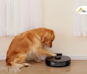 best Roomba for Dog