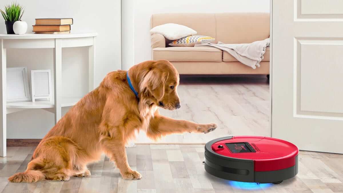 best Roomba for dog
