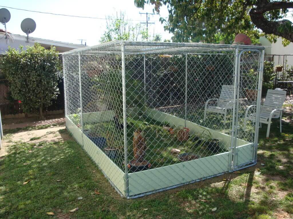 Escape-Proof tortoise enclosure