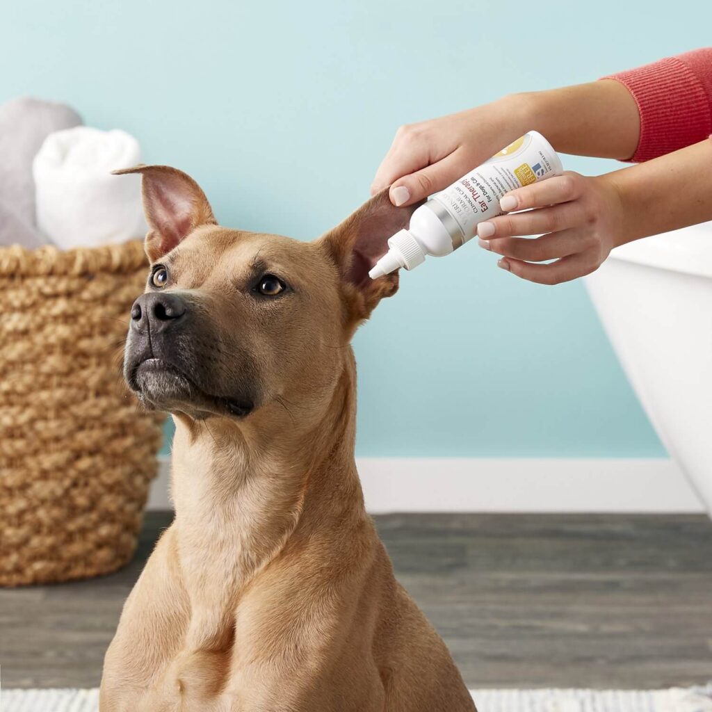 how to clean dog's ears