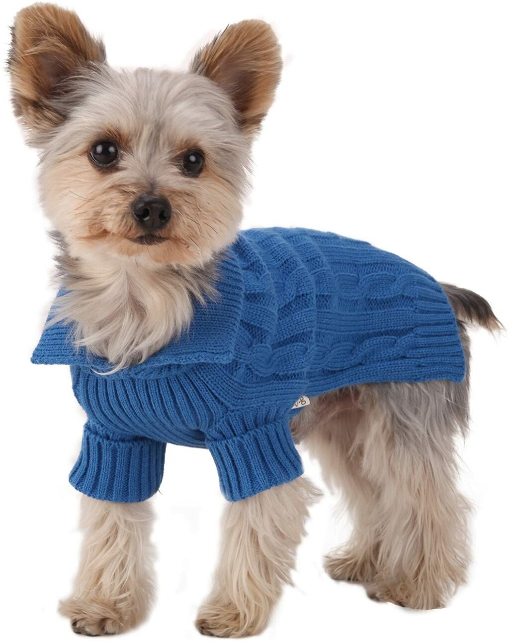 best dog sweaters