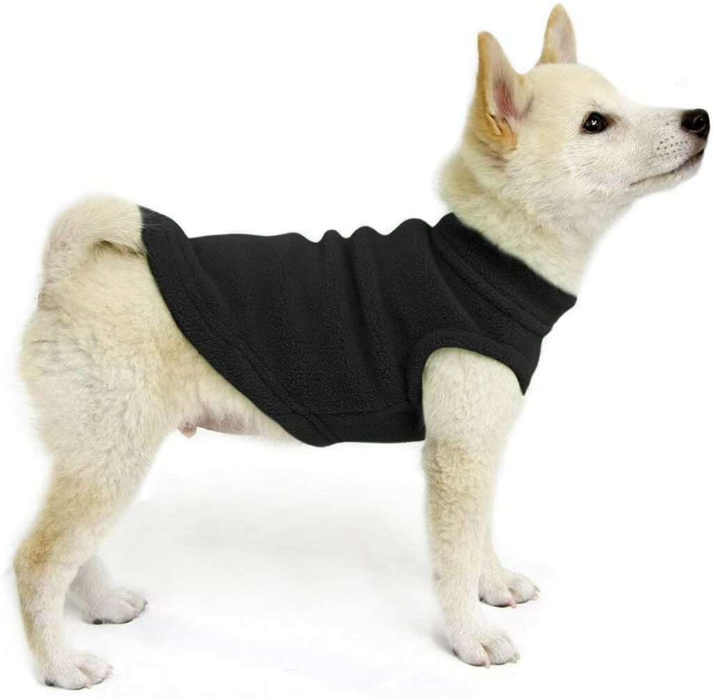 best dog sweaters