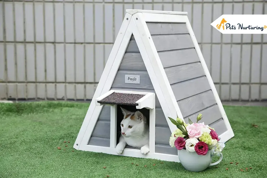 outdoor cat houses