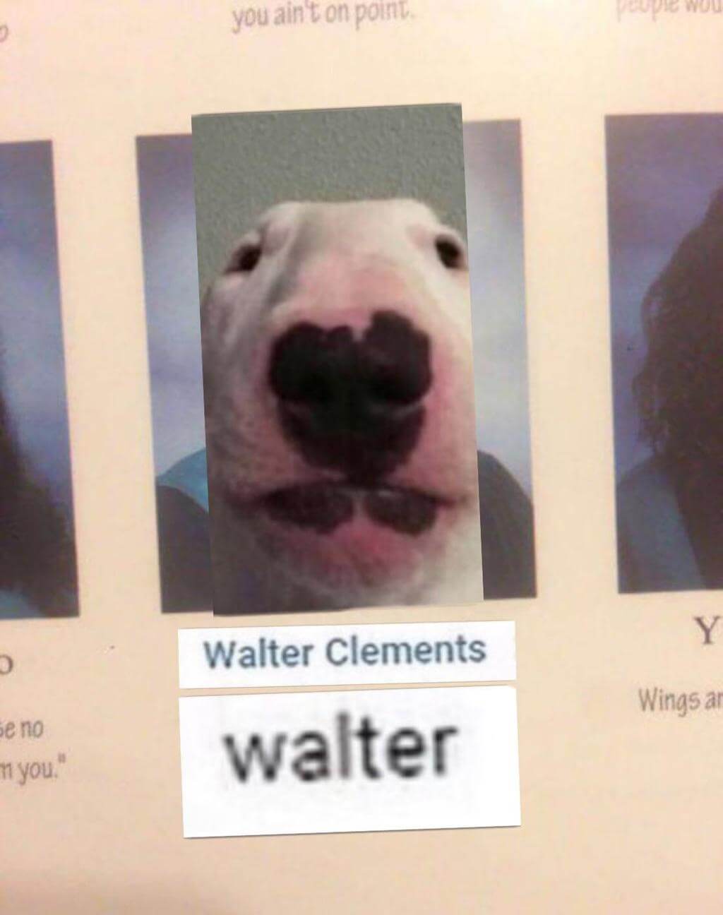 How Did He Get the Name - Walter
