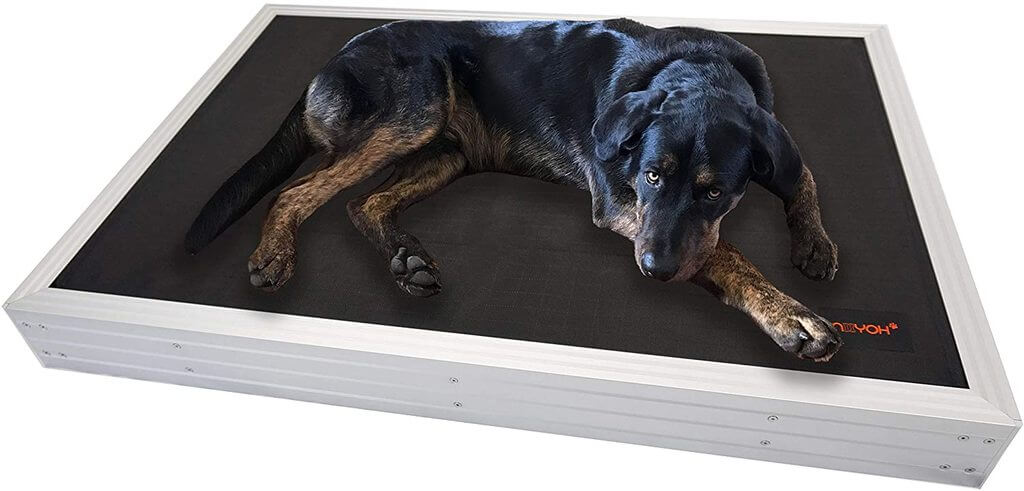 Niiyoh Mega Indestructible Dog Bed