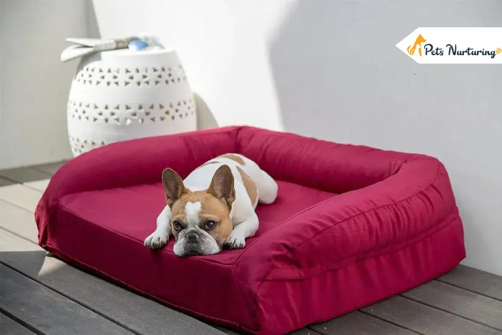 best indestructible dog beds