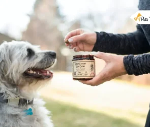 best joint supplement for dog