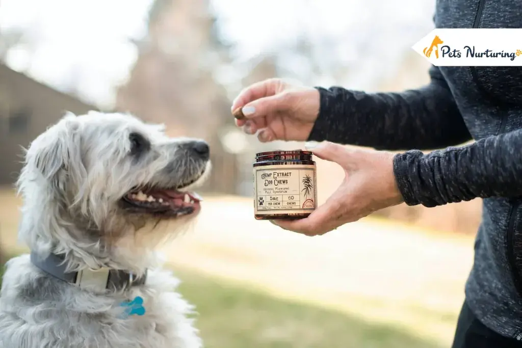 best joint supplement for dog