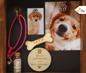 Gifts for Someone Who Lost a Pets