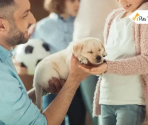 Taking Cares of a New Puppy