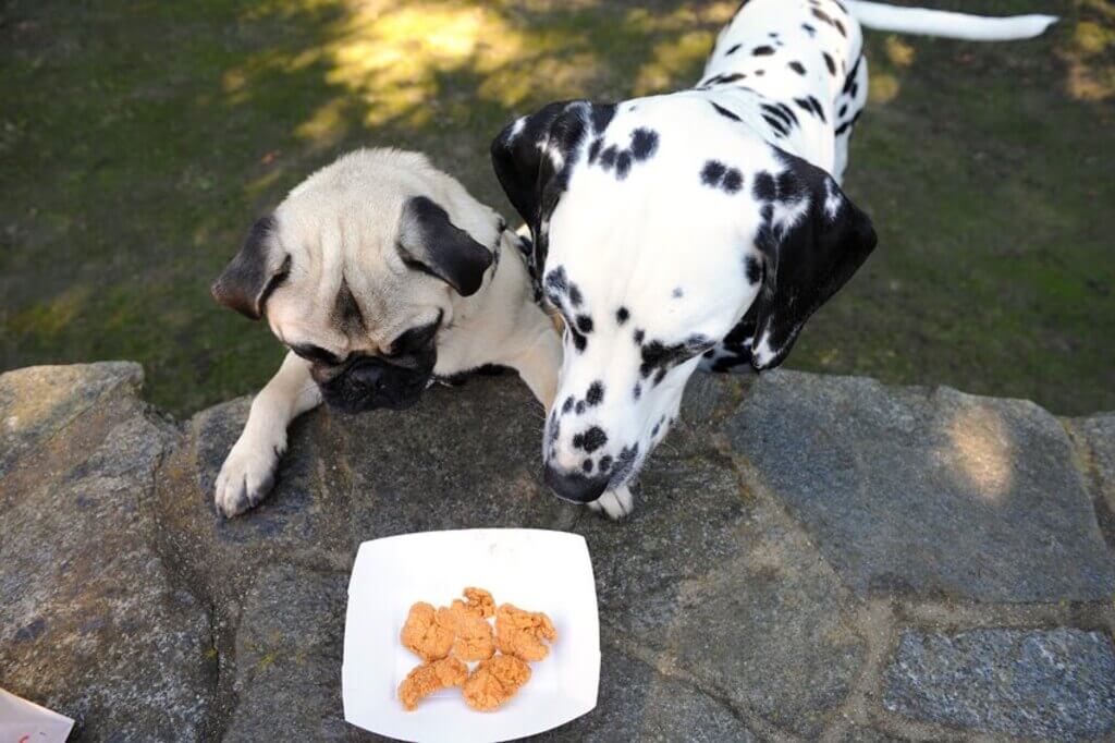 How Do You Forbid Your Dog from Consuming Chicken Nuggets?