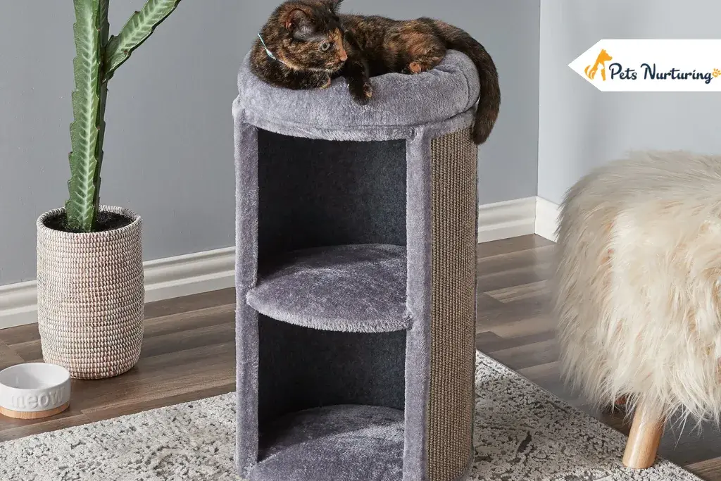 Cat Tree for Large Cat