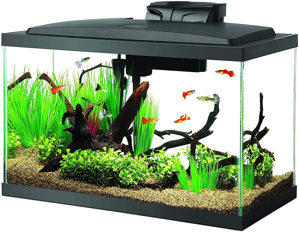  Aqueon 10 Gal LED Aquarium Kit