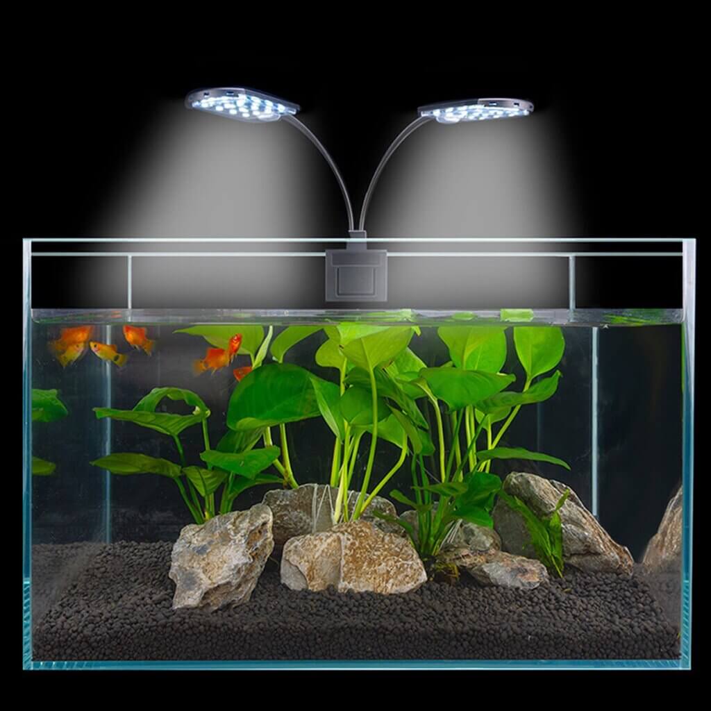 betta fish tank setup with led light