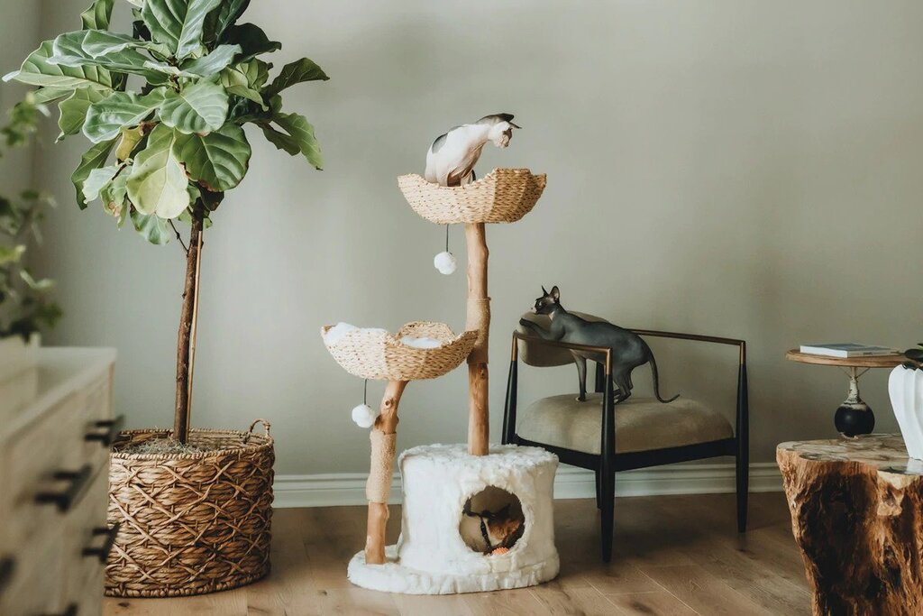Buy Best Cat Tree For Large Cats!