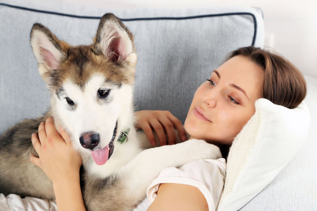 Top 7 Reasons Why Your Dog Always Wants To Lay On Top of You
