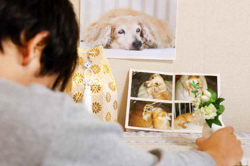 Hold A Memorial Service To Honor Your Deceased Pet