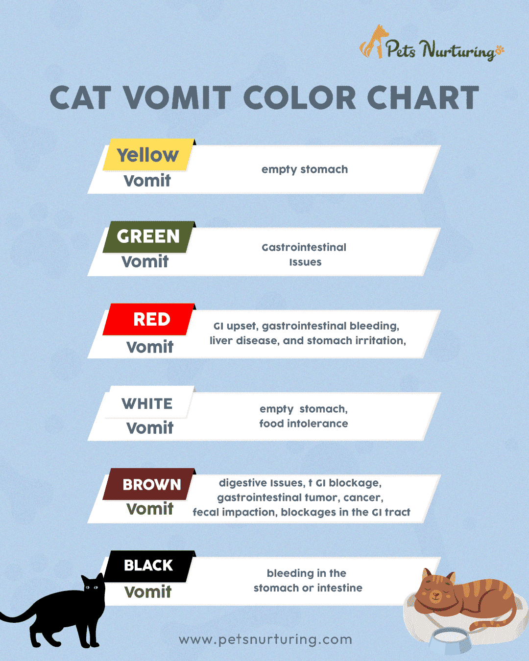 Cat Vomit Color Chart: What Does Each Vomit Color Mean?