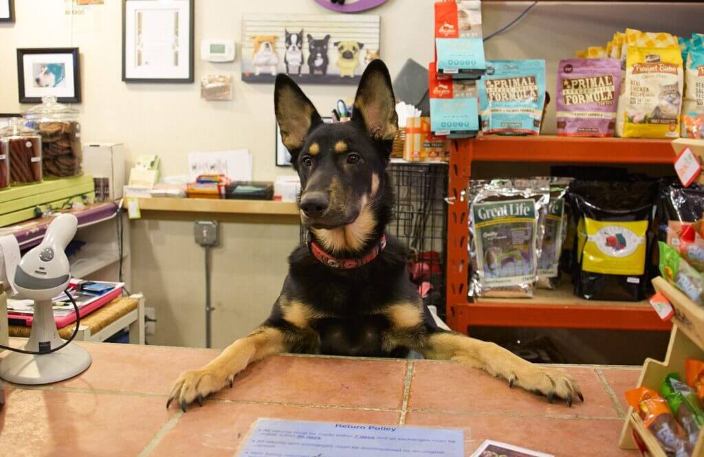 Security & Privacy Policies That Matter in your local pet store
