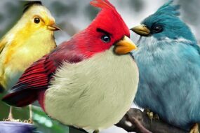 Real Angry Birds