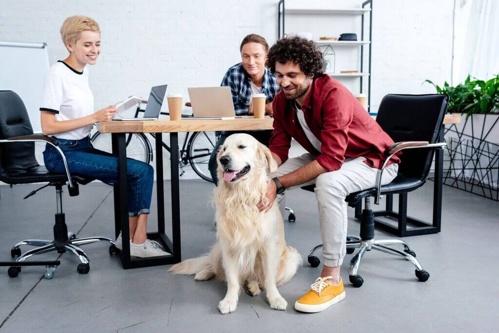 Why Every Business Owner Needs a Dog