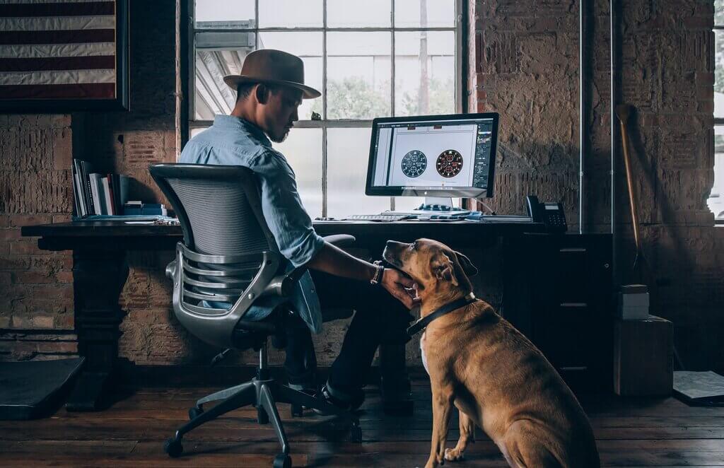 Why Every Business Owner Needs a Dog
