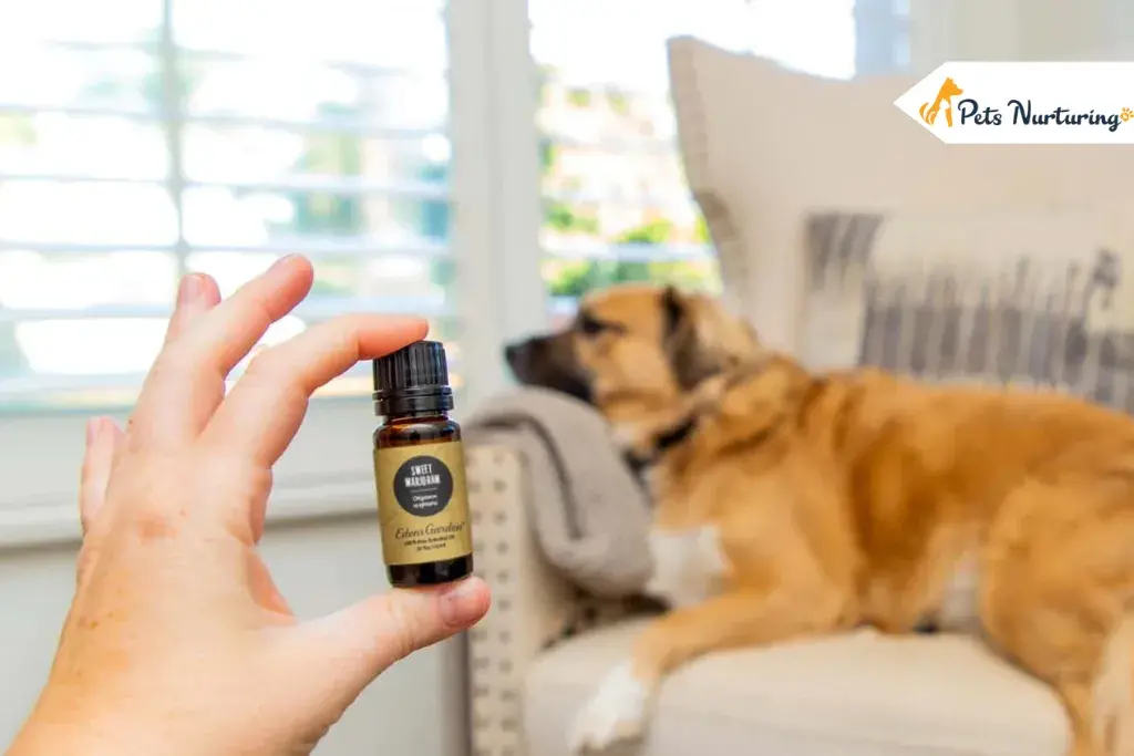 Peppermint Oil for Dog