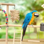 Bird Stand For Your Parrots