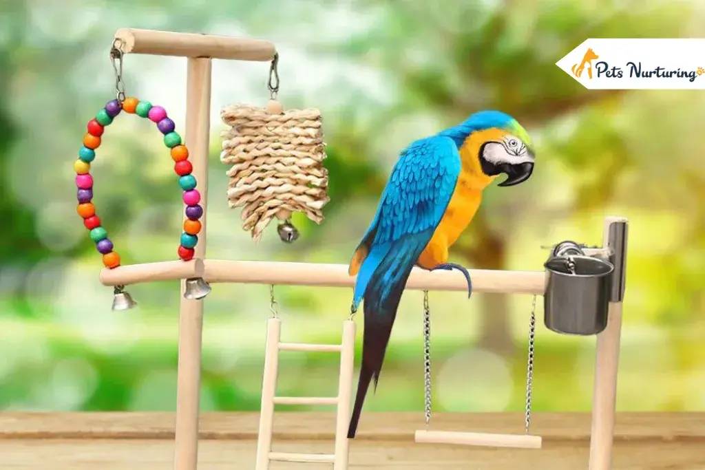 Bird Stand For Your Parrots