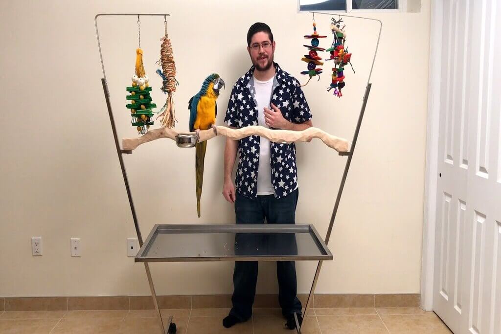Bird Stand for Your Parrot