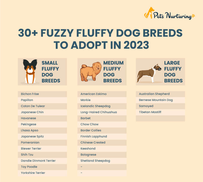 Fluffy Dog Breeds