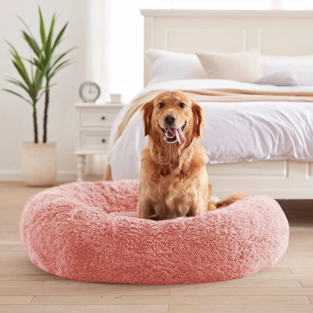 Calming Beds for Anxious Dogs