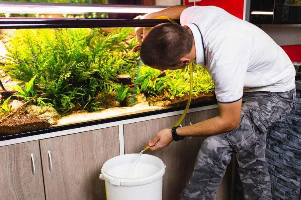 Filling an Aquarium with Tap Water