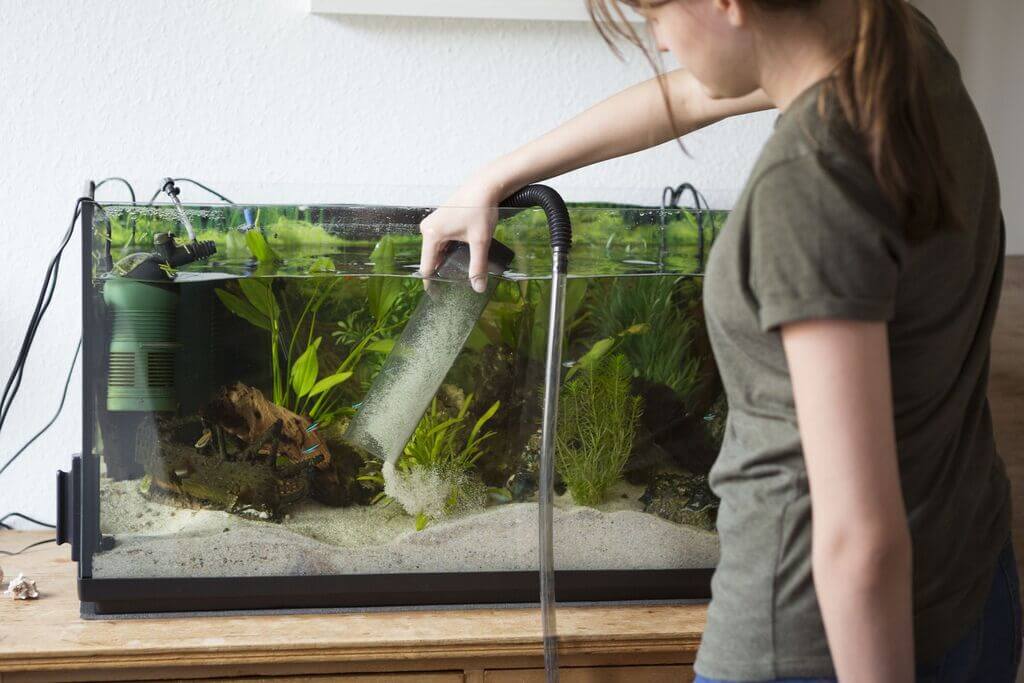 Fish Tank Mistakes to Avoid