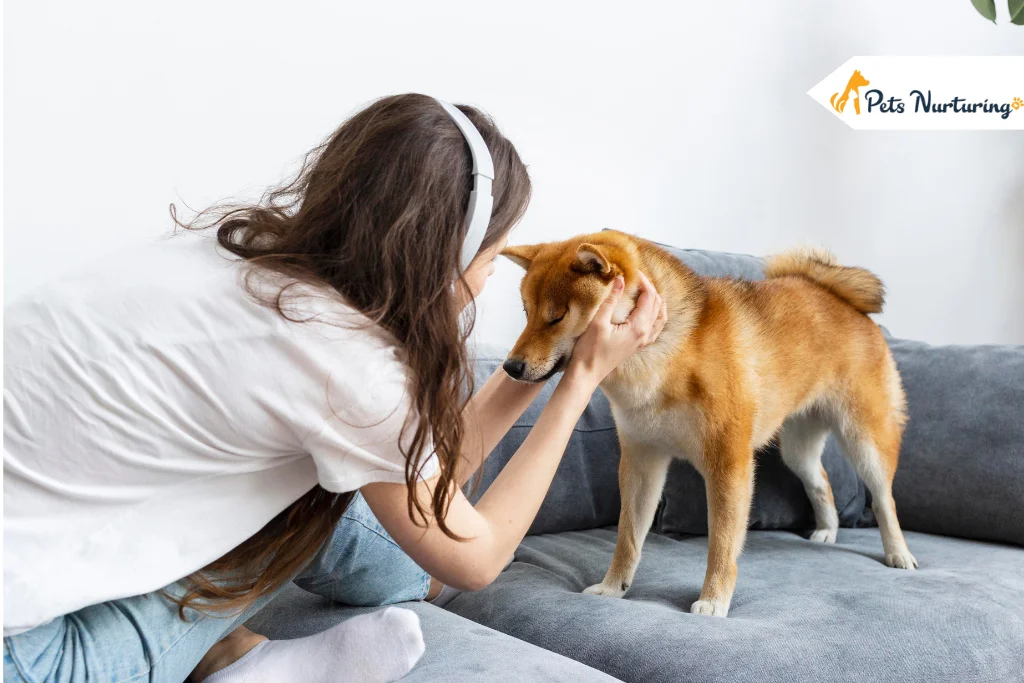 What Can You Give a Dog for Pain? Facts, Medications