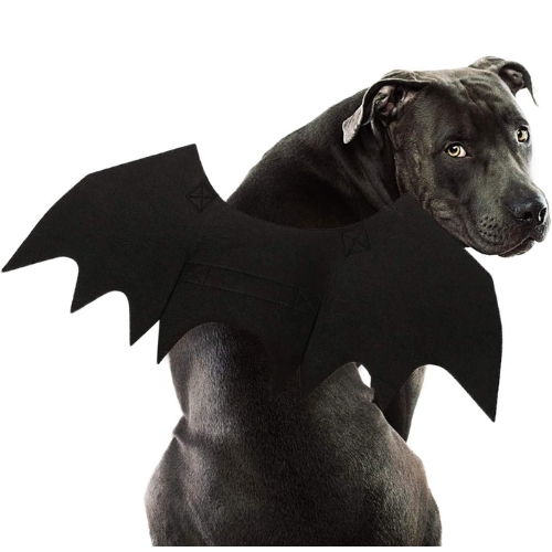 Cool Bat Halloween Dog Costumes Ideas